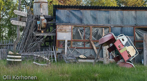 Bear in Russia