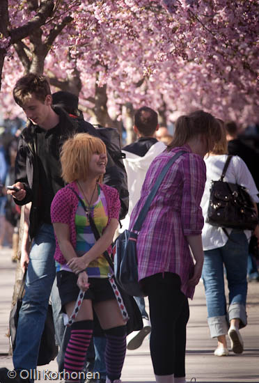 Two girls laughing under cherry blossoms in bloom.