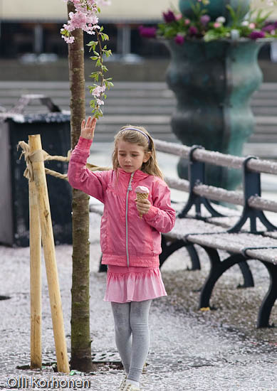 A girl touching a cherry blossom in bloom.