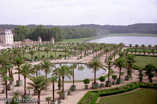 Palm trees, Versailles, park, palmiers, parc.