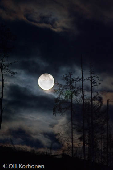 Kuva: Täysikuu synkkänä syysyönä.
