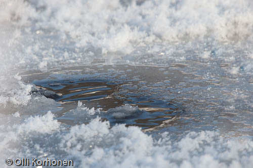 Kuva: Koskikaran sukellusreikiä jäässä.