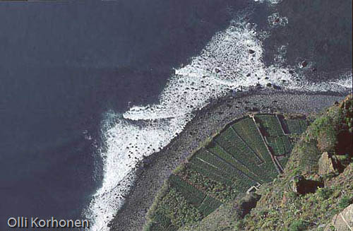 Kuva: Cabo Girao, Madeira.