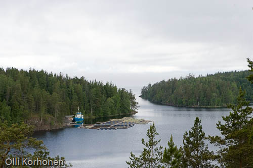 Kuva: Näkymä Laatokalle. Valamon luostari, Laatokka, Venäjä.