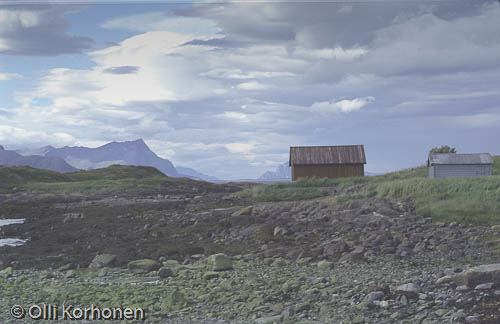 Kuva: Merenrantamaisema. Pohjois-Norja.