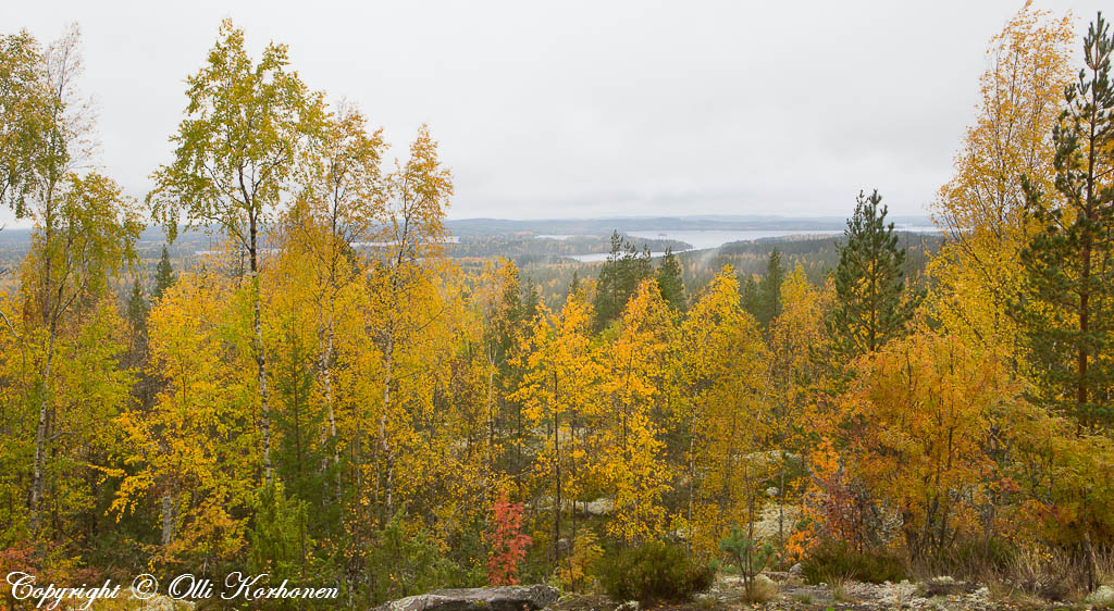 kalaja,kalajanvuori,etelä-konneveden kansallispuisto