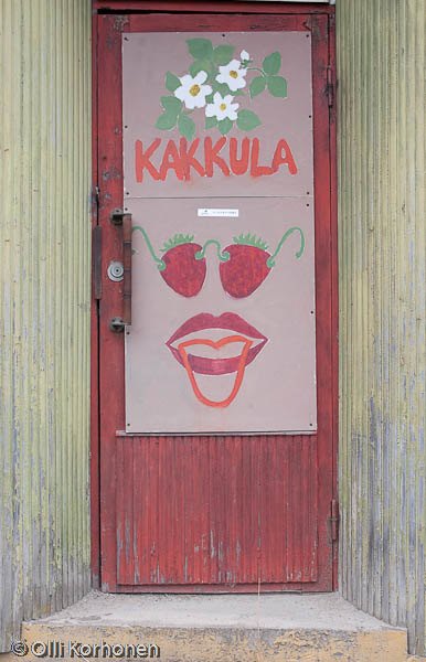 Seinämaalaus, Suonenjoki, Asemakatu, v.2011