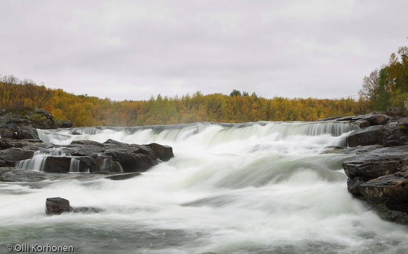 Kuohuva koski, Kolttaköngäs, Näätämöjoki, Norja.