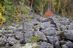 Kalliojyrkänteen alla rantaan rajoittuva lohkarealue, Kallio-Kourujärvi. Kalliojyrkänteen alla rantaan rajoittuva lohkarealue, Kallio-Kourujärvi.