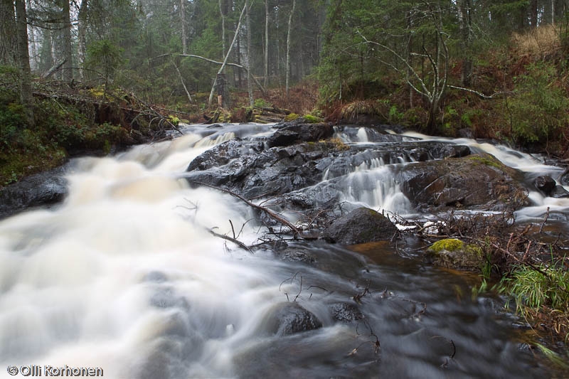 Kourujoki, Suonenjoki.