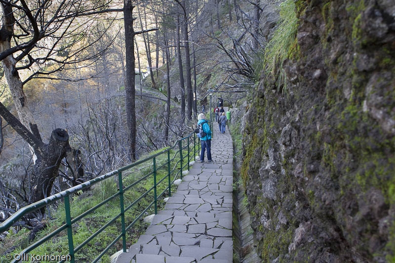 Vuoristopolku näköalapaikalle, Eira do Serrado, Madeira.