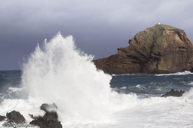 Rantatyrskyjä, Porto Moniz, Madeira.