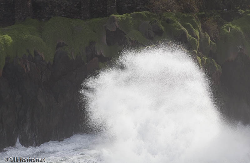 Gorilla, hahmo rantatyrskyissä, Porto Moniz, Madeira.