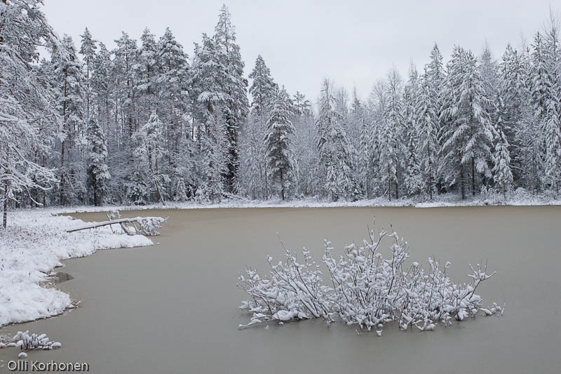 Kurkilampi Halostenvuorilla. Suonenjoki, marraskuu 2005. Kurkilampi Halostenvuorilla. Suonenjoki, marraskuu 2005.