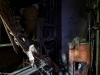 abandoned-teddy-bear-2012-6718-size-4896-x-3264