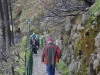 Vuoristopolku näköalapaikalle, Eira do Serrado, Madeira.