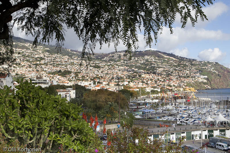 Näkymä yli sataman, Funchal, Madeira.