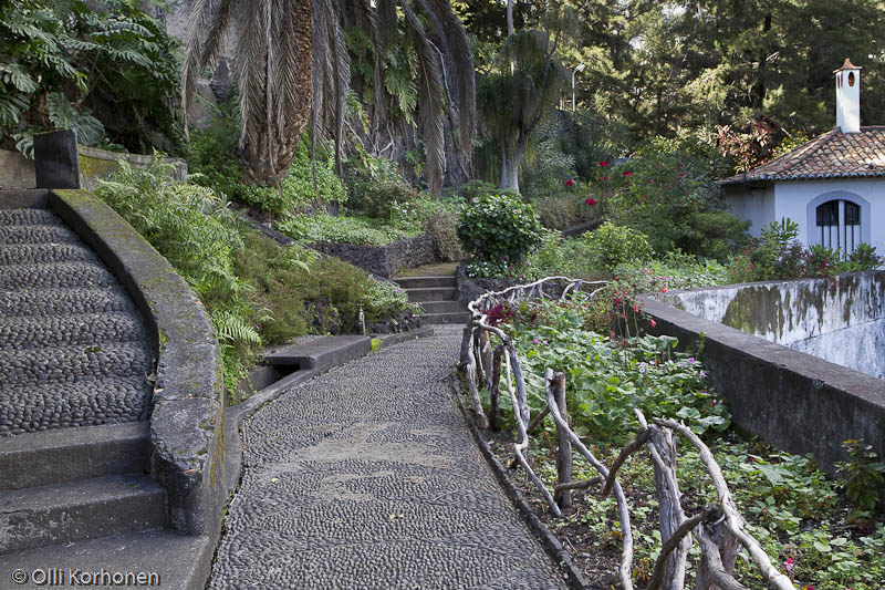 Magnolia-puisto, Funchal, Madeira.