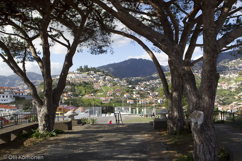 Pico dos Barcelos, Funchal, Madeira.