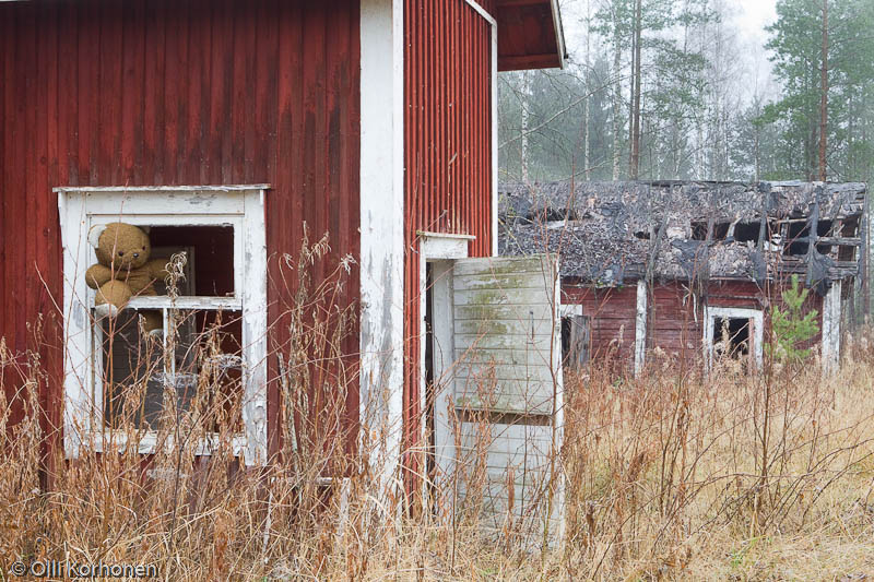 Hylätty Nalle autiotalon eteisen ikkunassa.