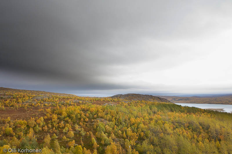 Ruskamaisema Norjan rannikolla välillä Näätämö-Kirkkoniemi.