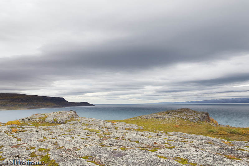 Ruskamaisema Norjan rannikolla välillä Utsjoki-Vuoreija.