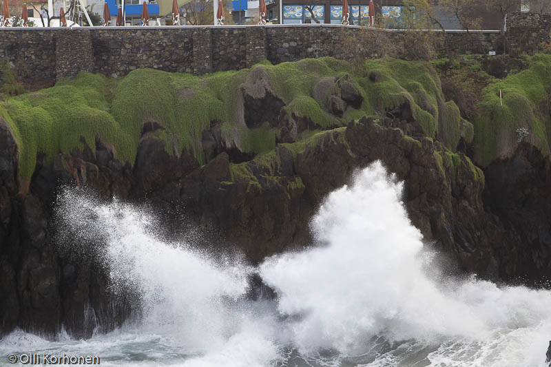 Takaa-ajo, hahmot rantatyrskyissä, Porto Moniz, Madeira.