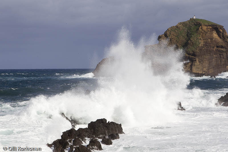 Rantatyrskyjä, Porto Moniz, Madeira.