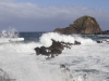 Rantatyrskyjä, Porto Moniz, Madeira.