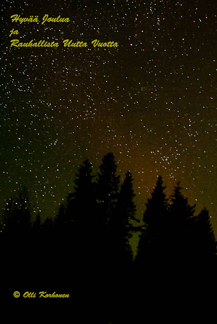 Kuva: Kuusimetsän siluetti tähtitaivasta vasten.