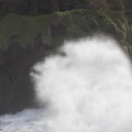 Merihirviö , Porto Moniz, Madeira.