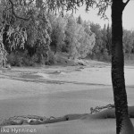 Kajaani,Kyynäpäänniemi, Kajaaninjoki, 1960-luku, valokuvausliike Hynninen