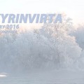 Kuuran kuorruttamia puita, Tyyrinvirta, Rautalampi.