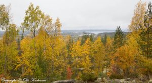 kalaja,kalajanvuori,etelä-konneveden kansallispuisto