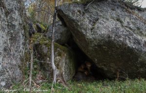 hylätty nalle,abandoned teddy bear,luola,rakoluola