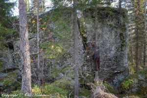 siirtolohkare,hylätty nalle,peurakangas,suonenjoki