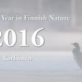 video,luontovuosi 2016