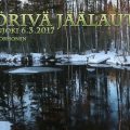 jäälautta,suonenjoki