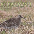 numenius phaeopus, pikkukuovi