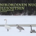 pienikokoinen nuori laulujoutsen